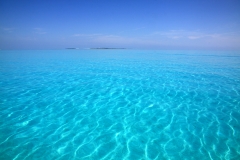 02-IMG_8049
